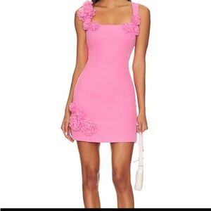 Trompe Dress in Pink
NEVER BEEN WORN AND IS AN PRISTINE CONDITION WITH TAGS